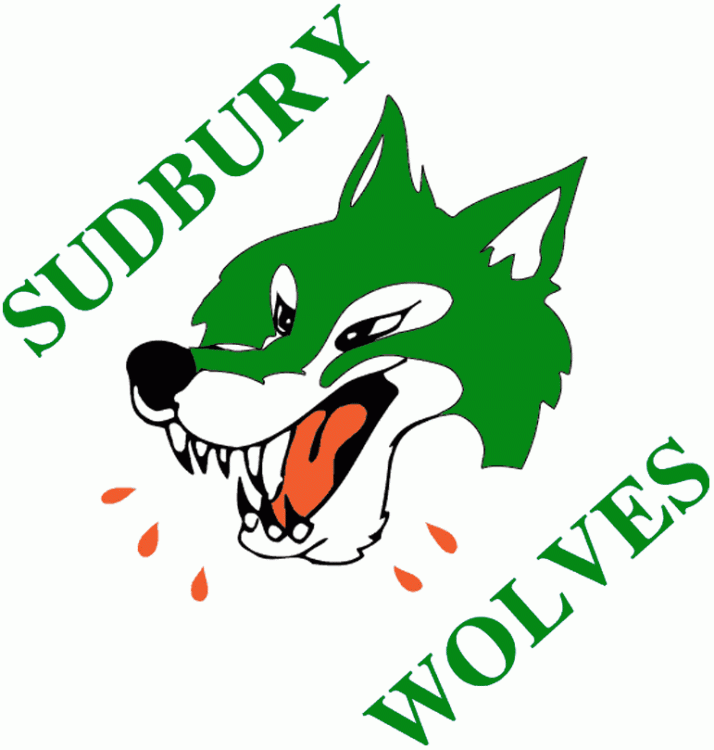 Sudbury Wolves 1987-1989 primary logo iron on transfers for T-shirts